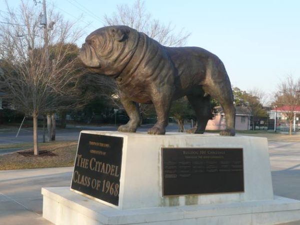 The “Bulldog” Statue – Citadel Football Association